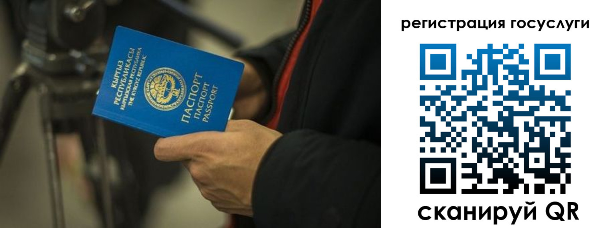 регистрация в Боровичах